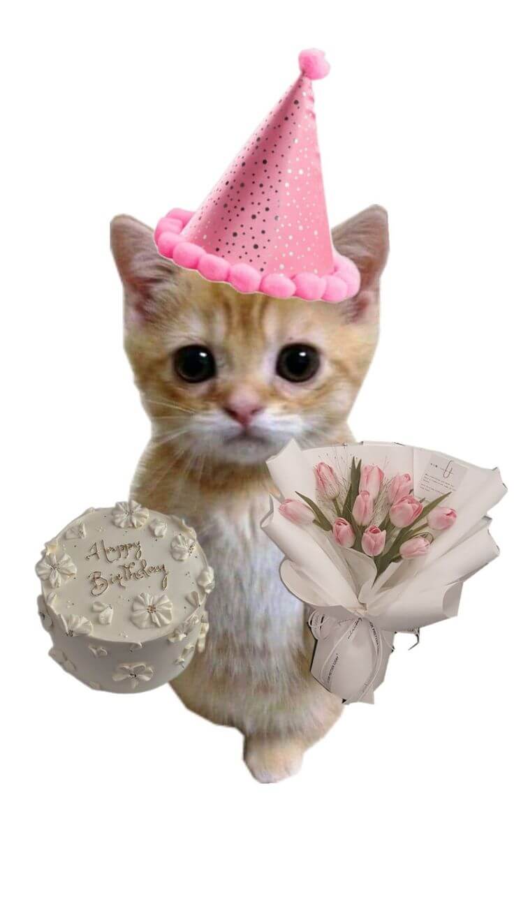 ảnh chúc mừng sinh nhật cute