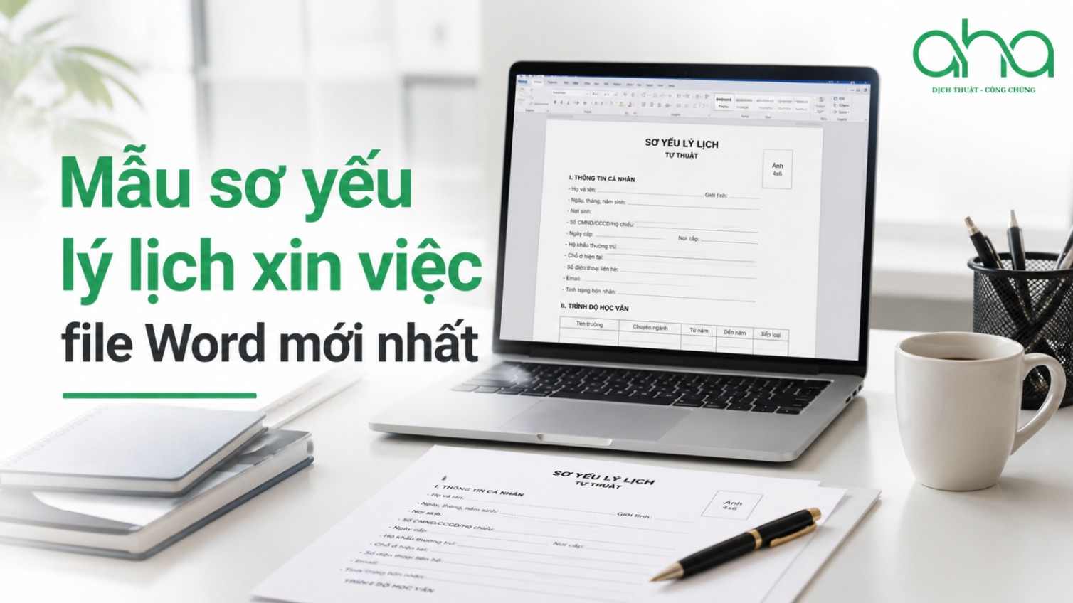Mẫu sơ yếu lý lịch xin việc file Word mới nhất
