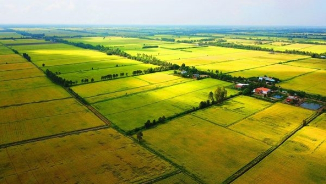 Có chuyển đất phi nông nghiệp sang đất ở được không?