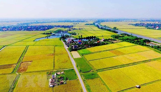 Đất phi nông nghiệp là gì?